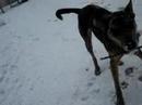 Cabela playing
