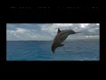 Video screenshot