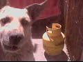 Terry cambiate al amarillo