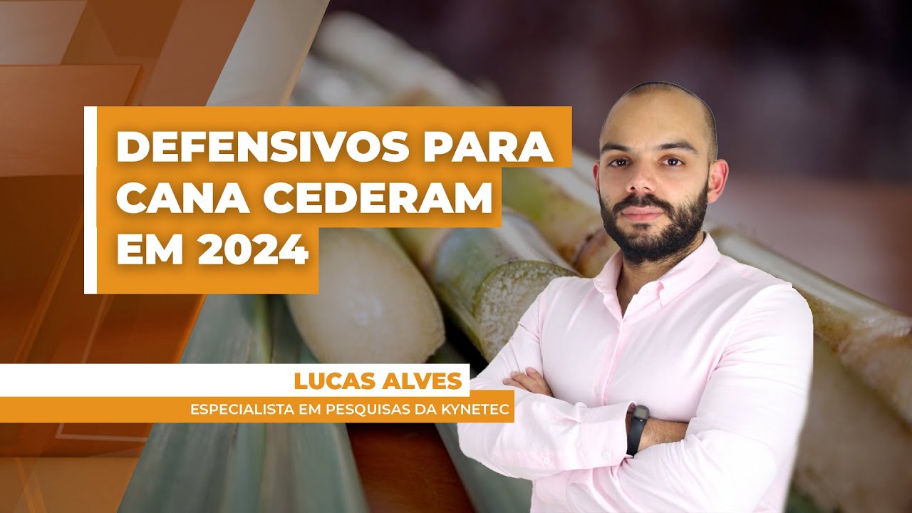 Custos com agroquímicos para a safra 2024 de cana-de-açúcar caiu 22%, segundo especialista