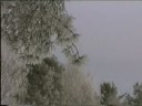 Asorti estas litova esperanto-muzikgrupo (ankaux familio) kiu koncertas dum E-renkontigxoj