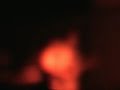 Les Havrais - Donner (en concert)