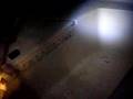videos de Blue Cat