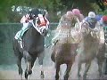 afleet alex and jeremy rose- do you want a piece of me