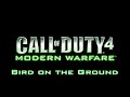 Call of Duty 4 Achievements: Bird on the Ground