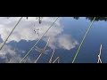 Viervlek libellen op patrouille. dragonflies patrolling