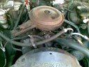 My Chevrolet Caprice -81 305+350