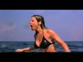 Massimo Ceccherini - Omaggio allo squalo Massimo Ceccherini - Omaggio allo squalo