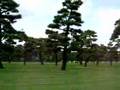 皇居外苑:YouTube閲覧数=596回