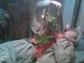 videos de batache belea rau de tot.3gp