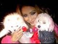 Canal Savoir TV online http://watchlivetv.org