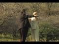 videos de Feng Shui - How Energy Moves