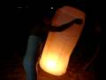 videos de MOV01892