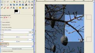 GIMP für Einsteiger Teil 2- Auswahlen