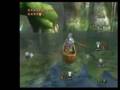 How to catch the Hylian Loach-Zelda Twilight Princess