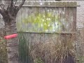 ion shooting ion shooting