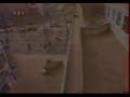 Parkour