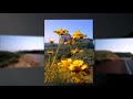 Castaic Calm Remix