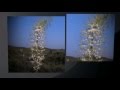 Castaic Calm Remix
