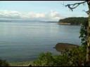 Aug 30 2008 - VID00095 Aug 30 2008 - VID00095