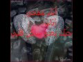 ادم ارجعلي يا حبيبي عاشق اليسا