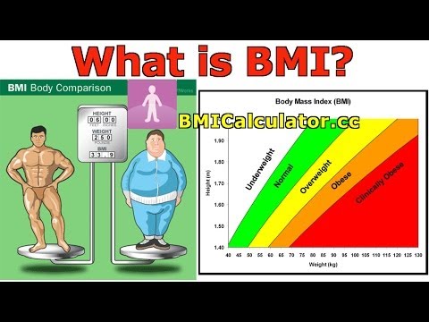 how to get more body mass