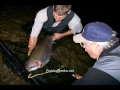 20+LB Rainbow Trout