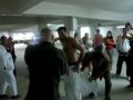 Graduaçao dida jiu jitsu 2009 Mineiro e Henrique