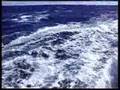 Catamaran Sailing Fast