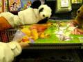 Bear Puppets : Episode 17