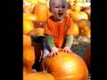 videos de Dylan slideshow