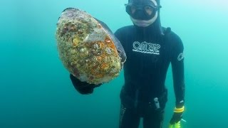 Harbor House Life: Freediving Off The Coast of Northern California
