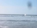videos windsurf