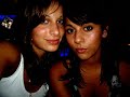 mix parots 02