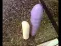 Dancing Dildos Dancing Dildos