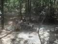 4-wheeler-3