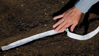 Using Seed Tapes