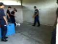 ginger playing w the officers