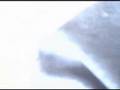 videos de Sãomer Zwadomit - Entranse & ele não pára de reclamar