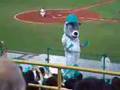 Bobe dance!