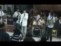 JAM-Green Tinted Sixties Mind