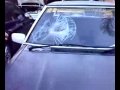 Idiot destorys windshield with his head