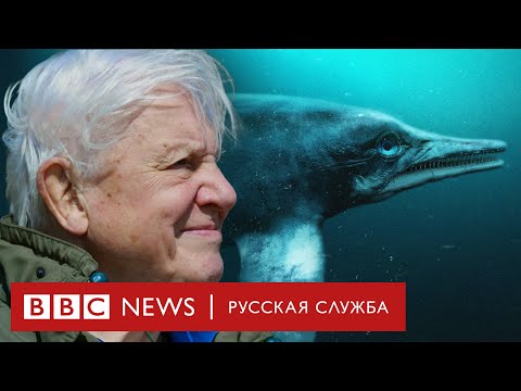 «Аттенборо и морской дракон» или Убийство, которому миллионы лет