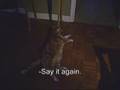 How to talk "Cat"