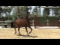 HACENDOSA ARENAS - Potra PRE en venta / Andalusian filly for sale