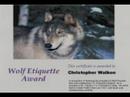 wolf-beaver-award.html