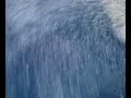 CEHC-COS-E
