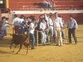 Benítez de La Feria dando los pocos capotazos que la vaca se dejó dar.El recuerdo de un gran día.