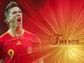 fernando torres