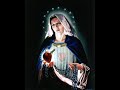 ميادة بسيليس - في ظل حمايتك